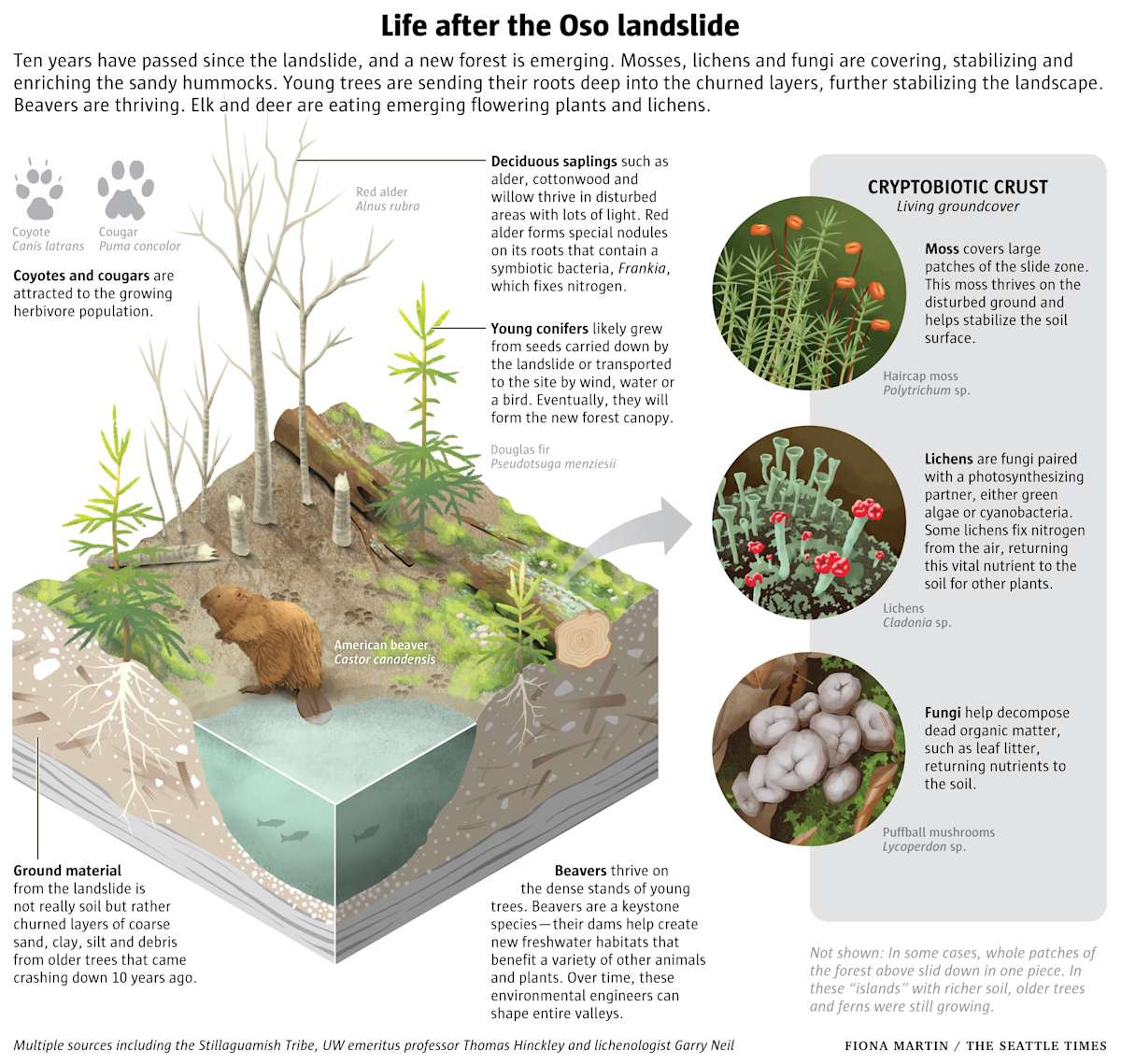Life after the Oso landslide by Fiona Martin 