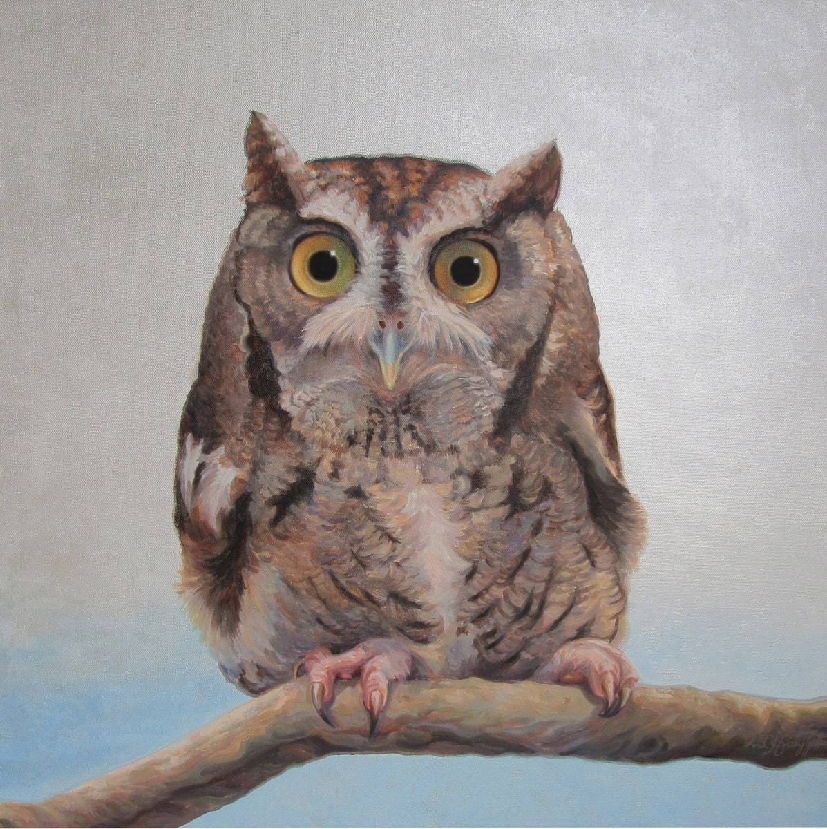 Eastern Screech Owl by Penny Hauffe 
