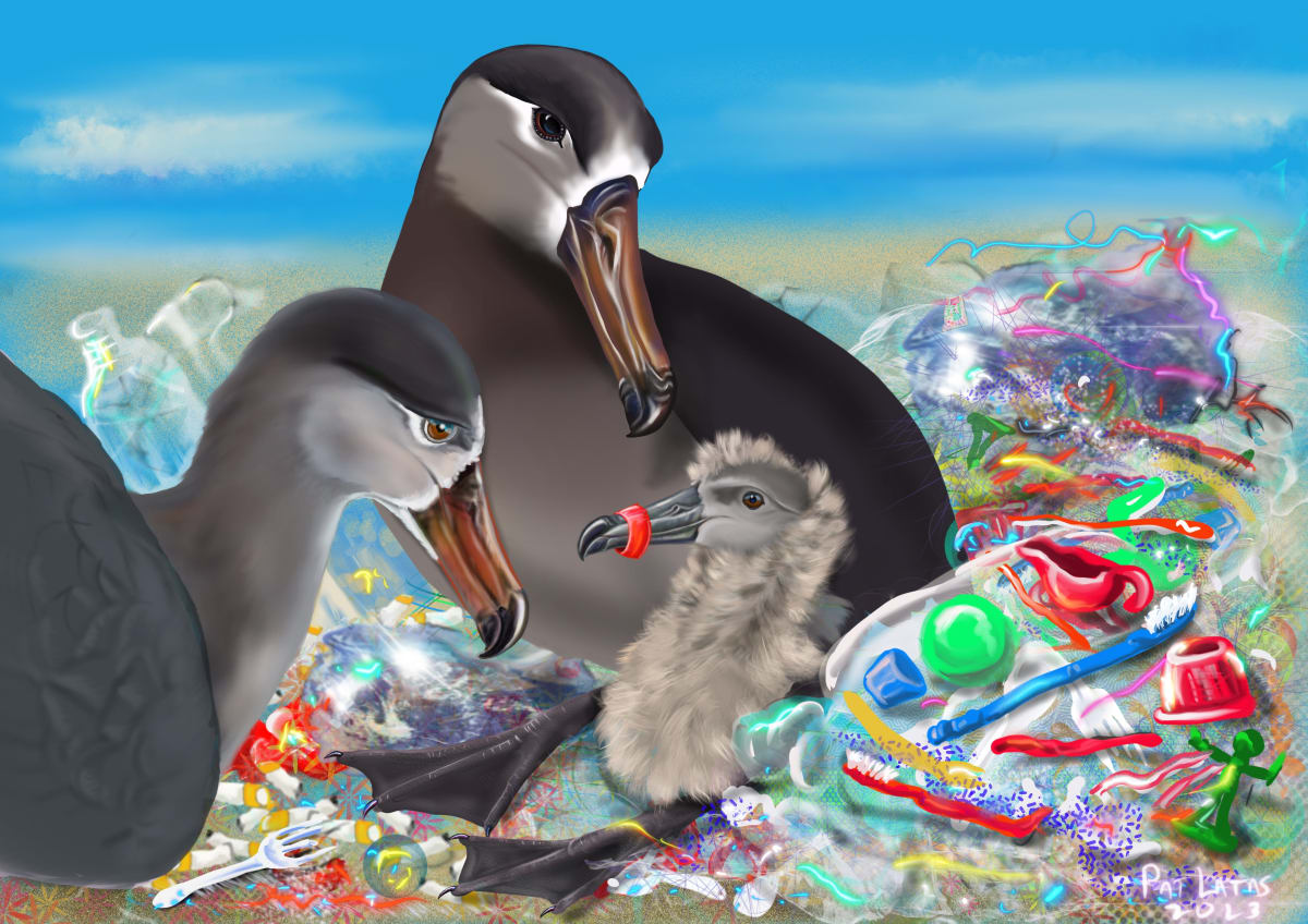 Plastic Lament by Patricia Latas 