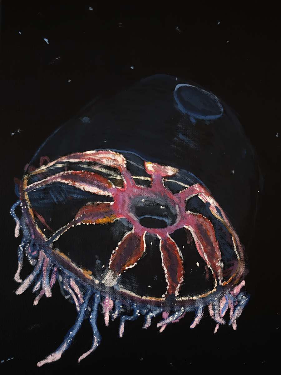 Atolla Jellyfish by Netta Dar, Image 1.