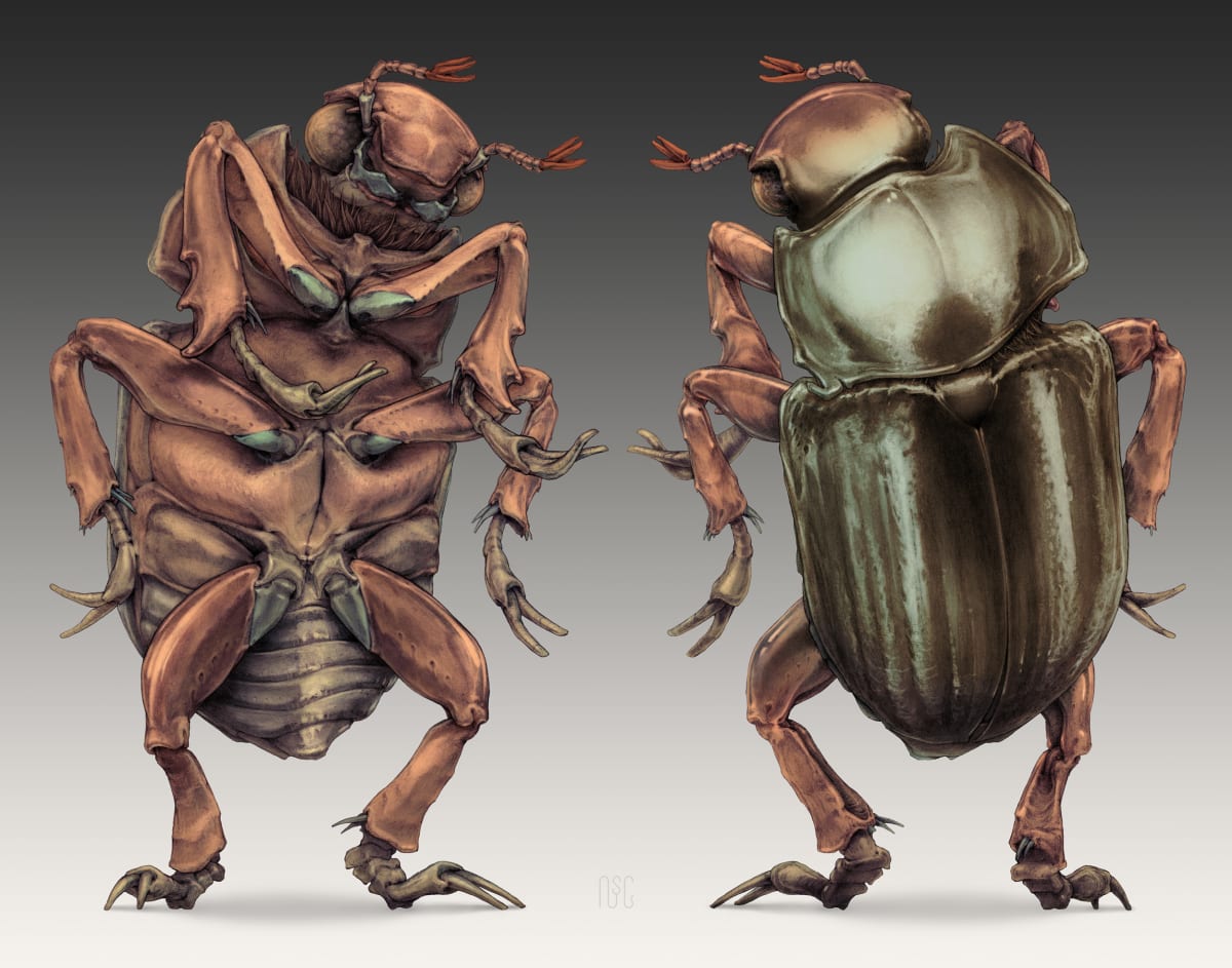 The "Welcome Bug" (Jewel Scarab) by Robert Long 