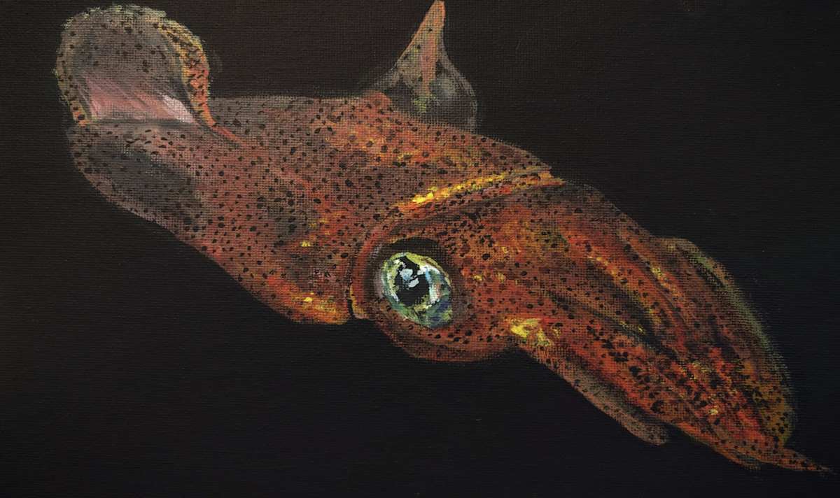 Caribbean Reef Squid by Netta Dar, Image 1.