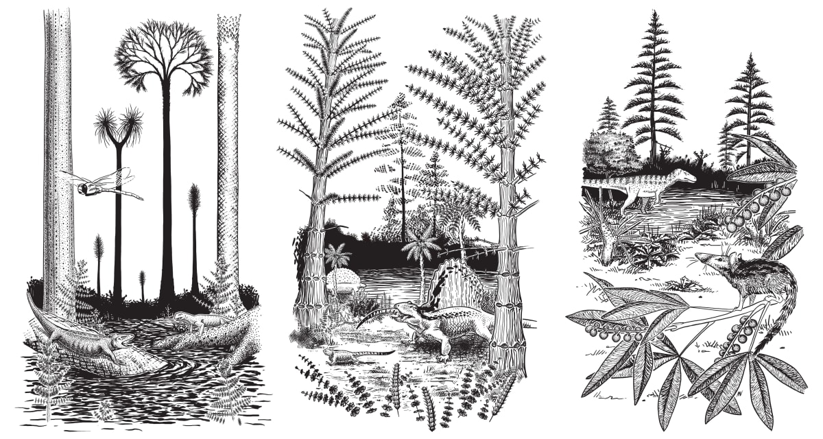 Sequence from Beasts Before Us: Carboniferous, Permian, Jurassic by April Neander 