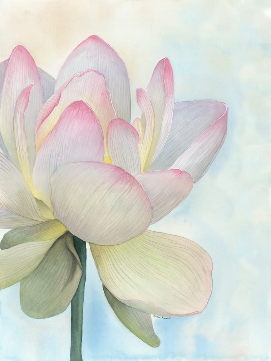 Water Lily by Caitlin Rausch 