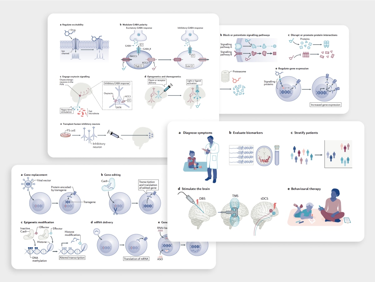 GABAergic Signaling in Neurodevelopmental Disorders by Caitlin Rausch 