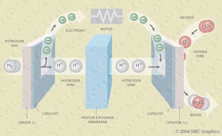 Hydrogen Fuel Cell by Erica Beade 