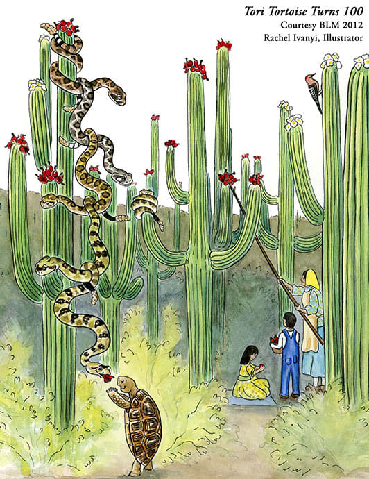 Tori in a Saguaro Fruit Harvest by Rachel Ivanyi, AFC 