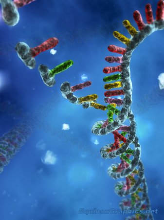 DNA Assembly by Dr Jon Heras 
