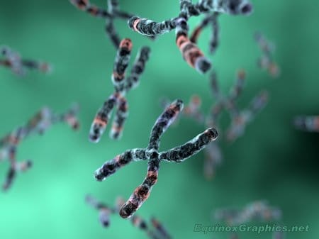 Chromosome soup by Dr Jon Heras 