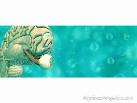 Saccades (optic nerve) by Dr Jon Heras 