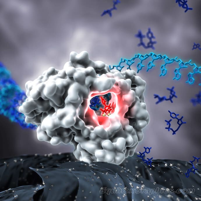 Gilead cover submission for Science by Dr Jon Heras 