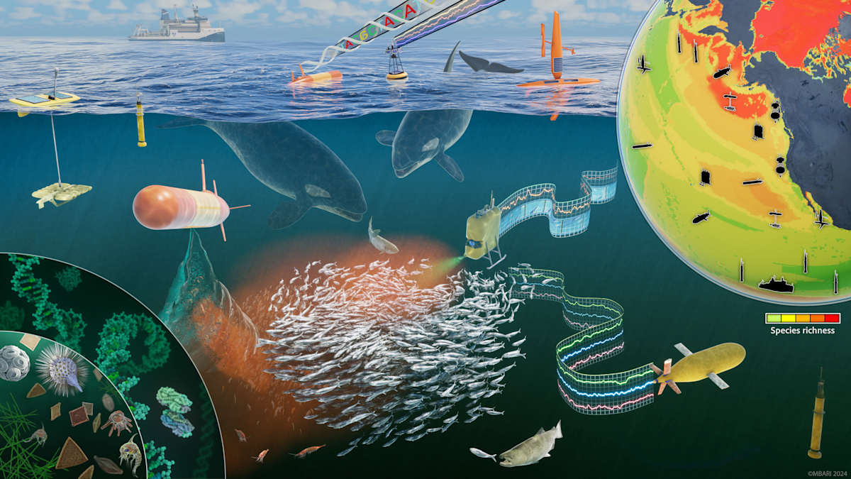 Environmental DNA by David Fierstein 