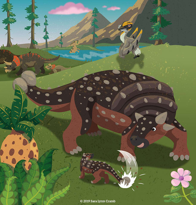 Ankylosaurus by Sara Cramb 