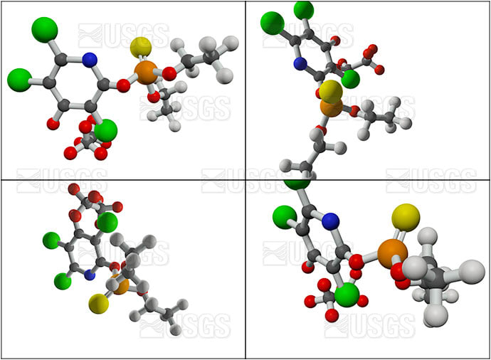 Endosulfan and chlorpyrifos molecules by Betsy Boynton 