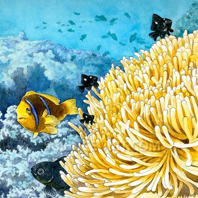 Coral Reef illustration by Marjorie Leggitt 