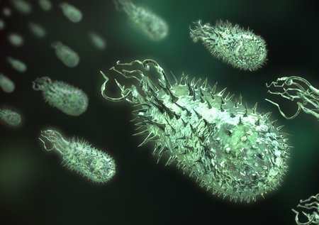 Swimming Bacterial Swarm by Dr Jon Heras 