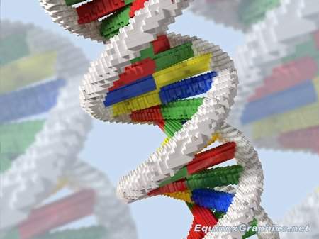 Building Blocks of Life (Lego DNA) by Dr Jon Heras 