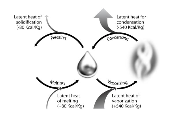 Phase change in Water by Kelly Finan 