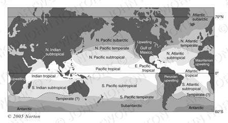 Oceanic Regions by John Norton 