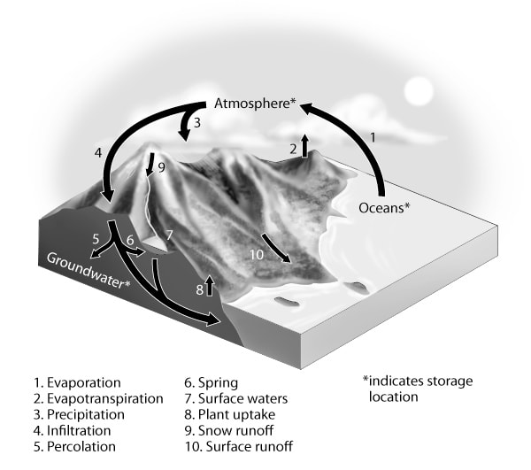 Water Cycle by Kelly Finan 