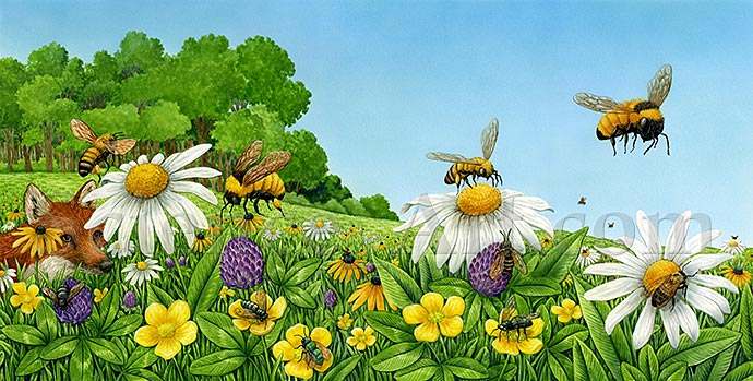 Honeybees in Wildflower Field by Carol Schwartz 