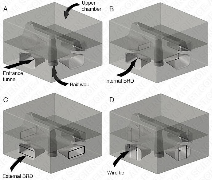 By‐catch reduction devices by Betsy Boynton 