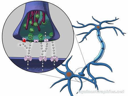 SSRI neuroinhibitors by Dr Jon Heras 