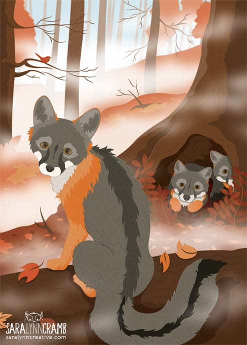 Grey Fox Family in the Autumn Woods by Sara Cramb 
