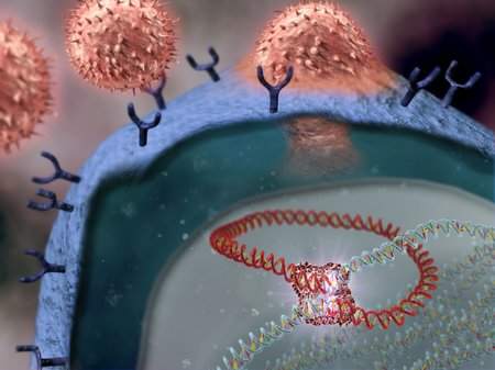 Retrovirus replication by Dr Jon Heras 
