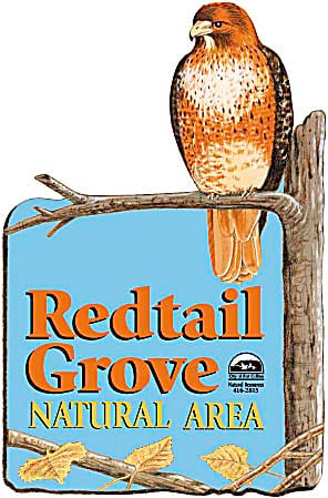 Redtail Grove by R. Gary Raham 