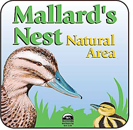 Mallard's Nest Natural Area by R. Gary Raham 