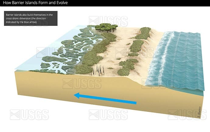 Cross-shore barrier island formation, panel 1 by Betsy Boynton 