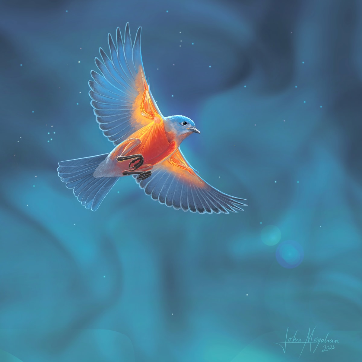 Bird wings are shaped by thermoregulatory demand for heat dissipation by John Megahan 