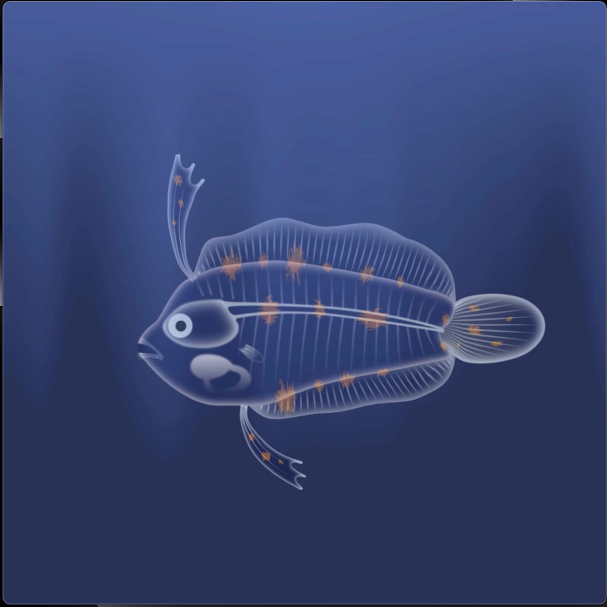 Flatfish Metamorphosis by Cindy Gresham 