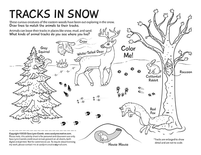 Tracks in Winter coloring page by Sara Cramb 