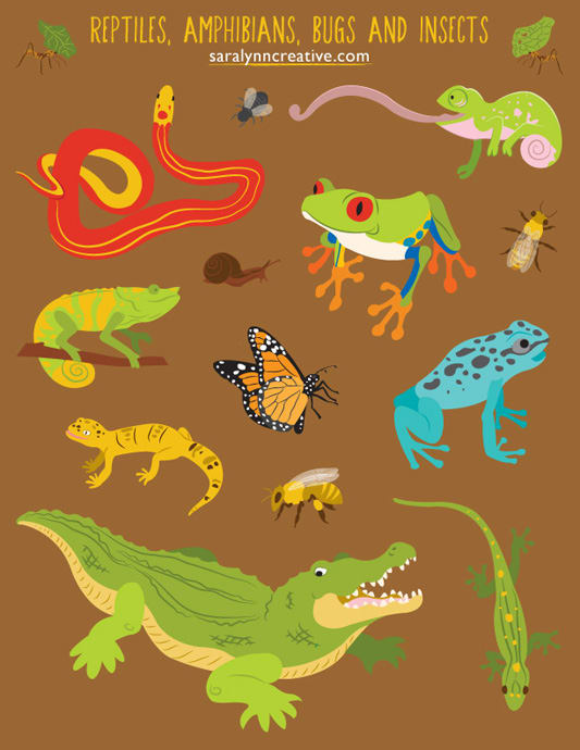 Reptile, Amphibian, Bug, and Insect Spot Art by Sara Cramb 