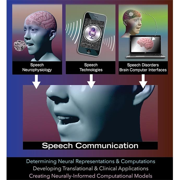 Communication by Nicoletta Barolini 