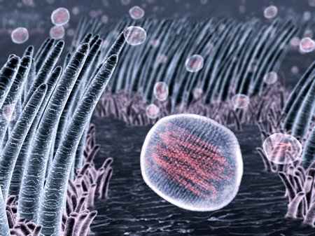 Flu Viruses in the Throat by Dr Jon Heras 