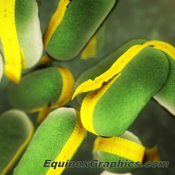 Bacterial Growth (tape measure) by Dr Jon Heras 