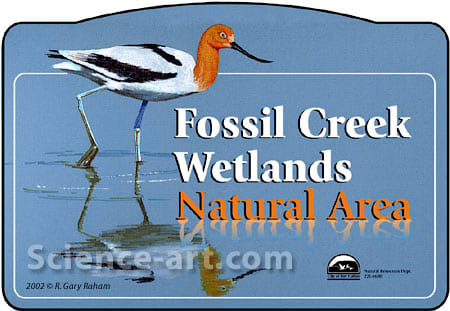 Fossil Creek Wetlands by R. Gary Raham 