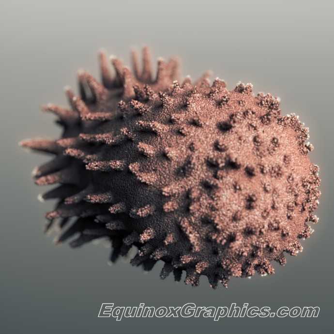 ATP by Dr Jon Heras 
