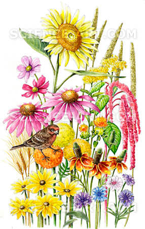 Songbird Flowers Seed Mix by Marjorie Leggitt 