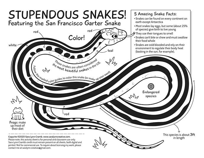 Stupendous Snakes activity page by Sara Cramb 