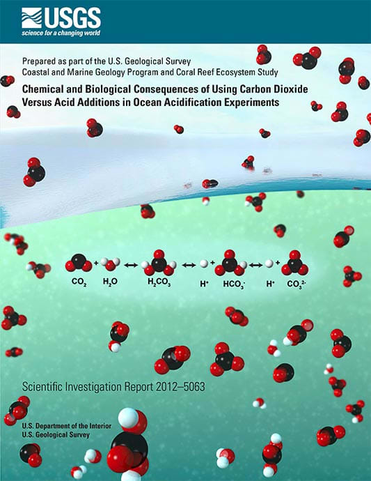 Ocean acidification report cover art by Betsy Boynton 