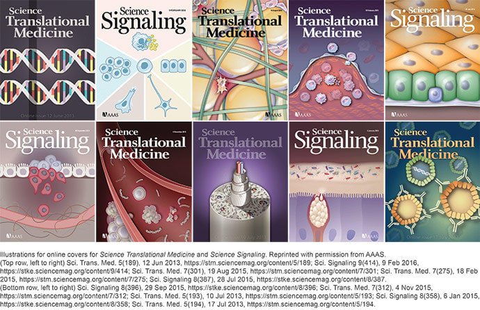Online cover illustrations for AAAS journals by Heather McDonald 