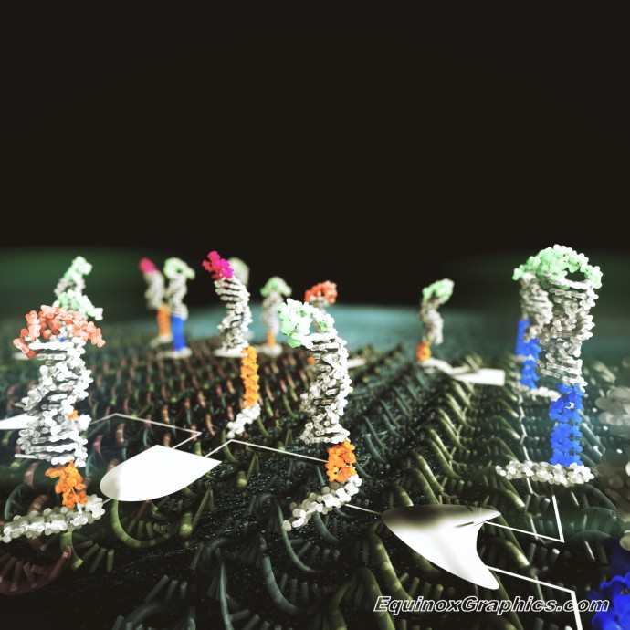 DNA nanoscale computation circuit illustration by Dr Jon Heras 