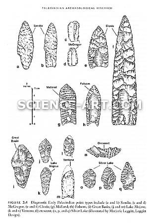 Early Paleoindian Points by Marjorie Leggitt 