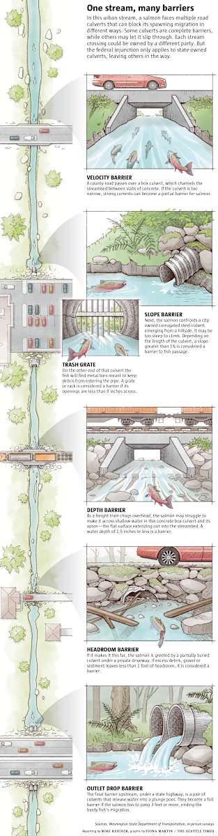 One stream, many barriers by Fiona Martin 