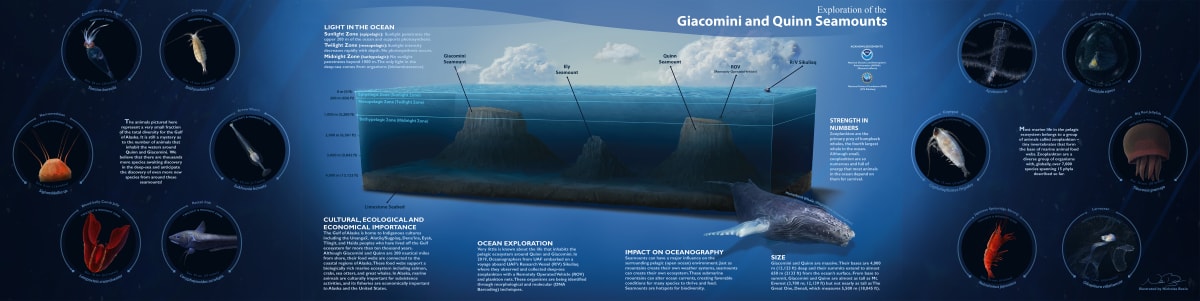 Expedition into the Biodiversity of Seamounts by Nicholas Bezio 