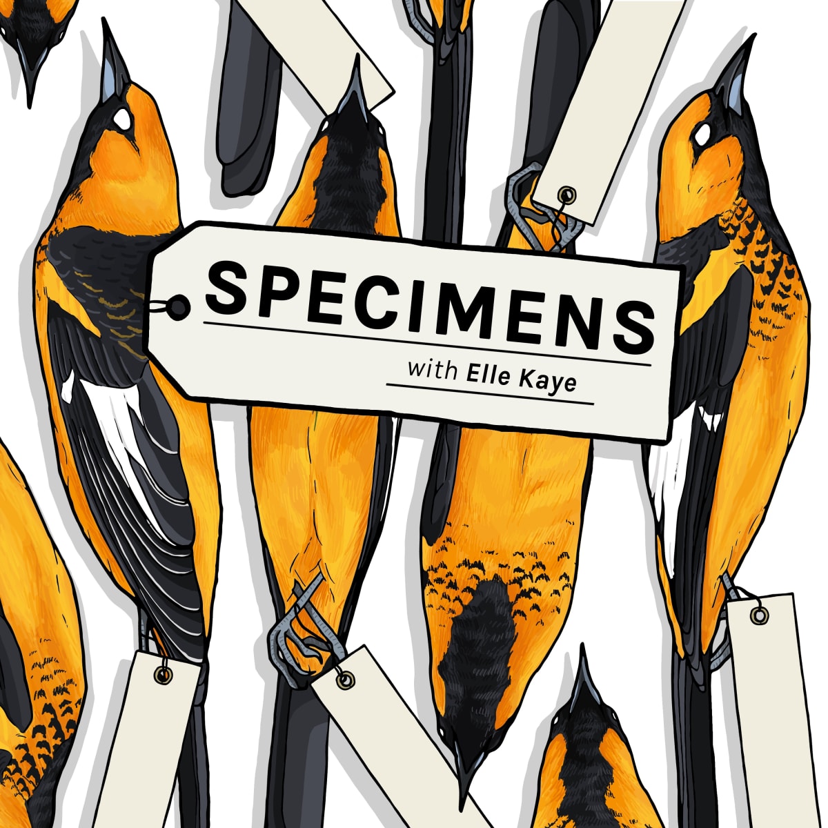 Specimens Podcast Art by Madison Mayfield 